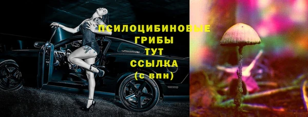 mix Карпинск