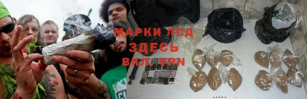 винт Касимов