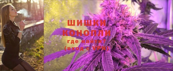 винт Касимов