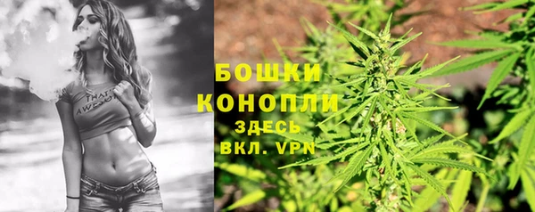винт Касимов