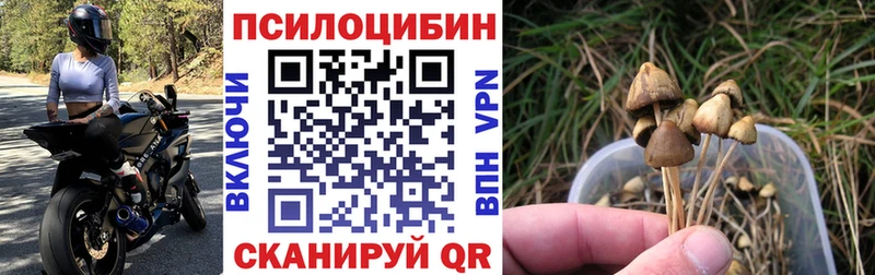 Псилоцибиновые грибы Psilocybine cubensis  Купить где  Коряжма 